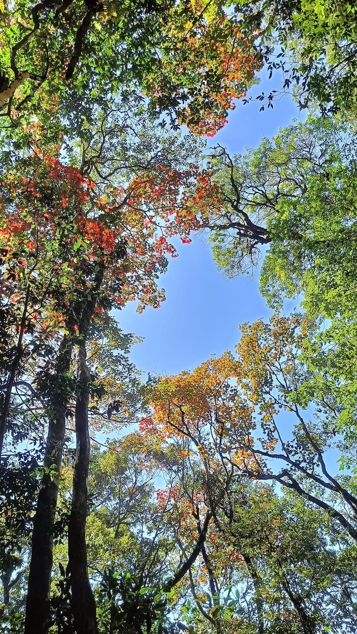 Hiking Northeast Vietnam Tour 7 Days